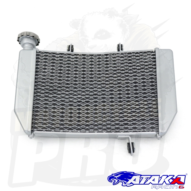 ATAKA Motorcycle Radiator For Yamaha Sniper 150 Big Curve | Shopee ...