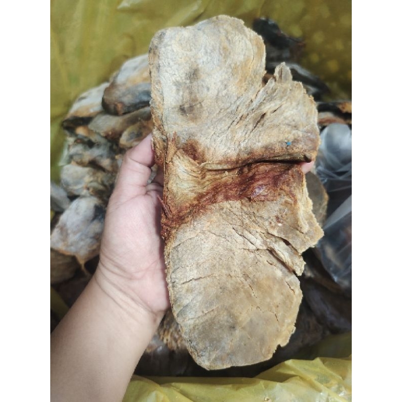 Bulad Bariles Tuna Yellow Fin Dried Fish All Meat (limited only ...