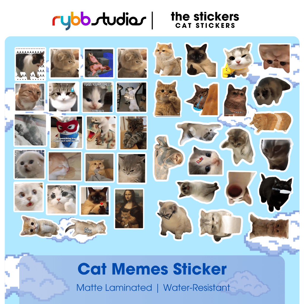 Cat Meme Vinyl Sticker #2 | Funny and Cute Sticker | The Stickers by ...