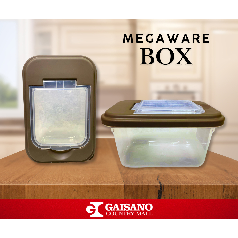 Mini Mega Box Small for Rice & Other Small Things | Shopee Philippines