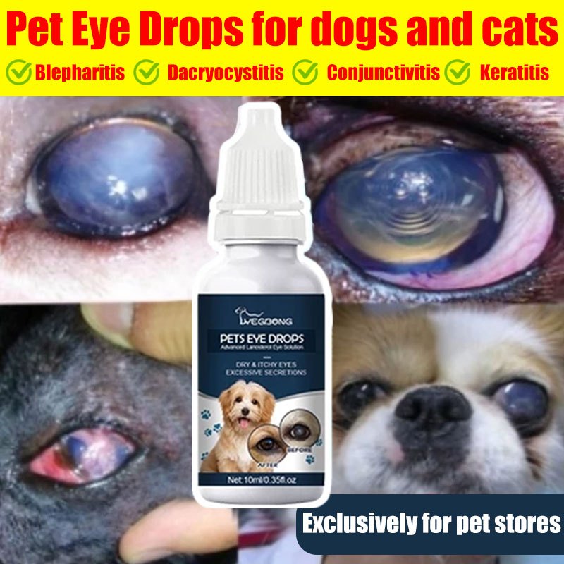 Gentamicin Eye Drops For Dog Pet Eye Infections Treatment Eyes Tear ...