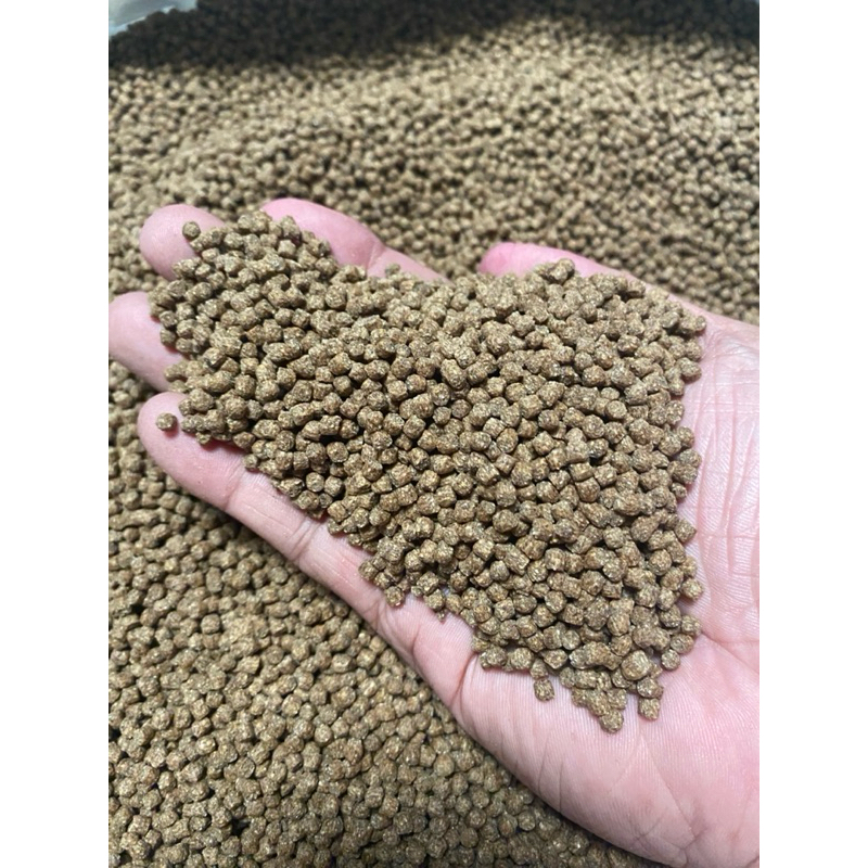 TATEH Aquafeeds Surfer Tilapia 1kg Starter, Grower | Shopee Philippines