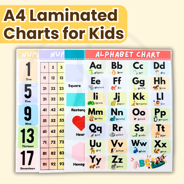 A4 Laminated Educational Chart for Kids | Alphabet, Numbers, Shapes ...