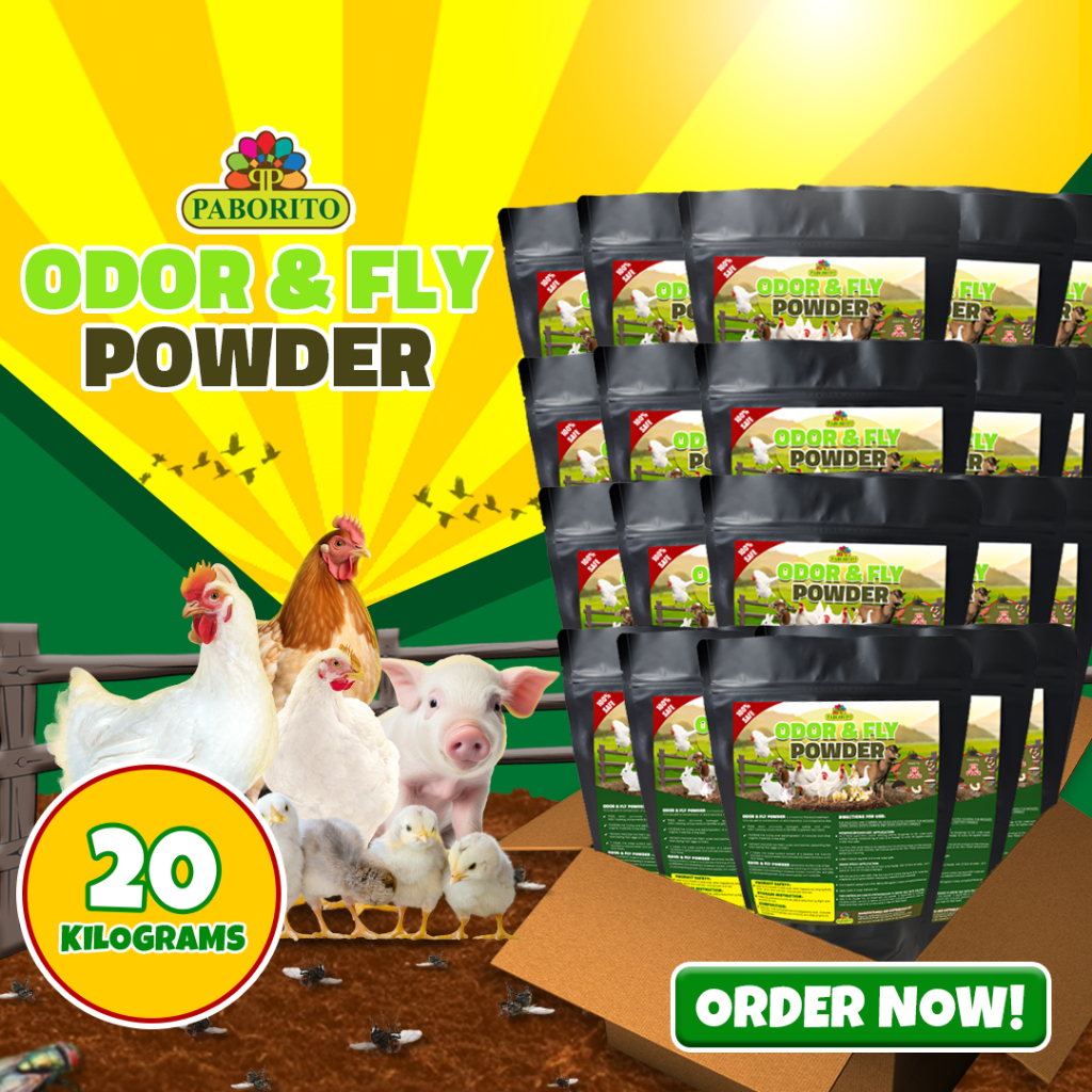Odor & Fly Powder | Safe & Natural Odor Control for Poultry & Farms ...