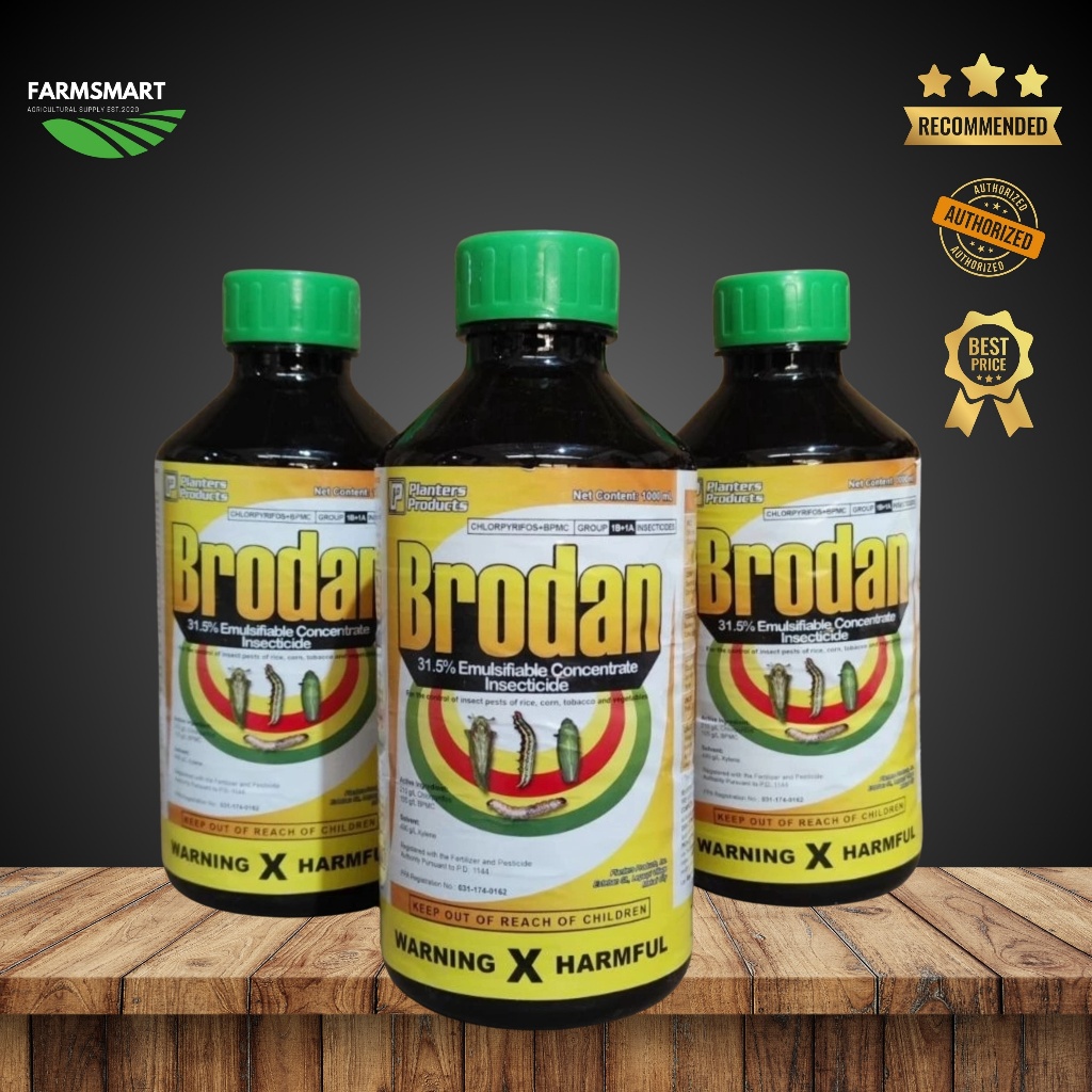 Shop corn rice for Sale on Shopee Philippines