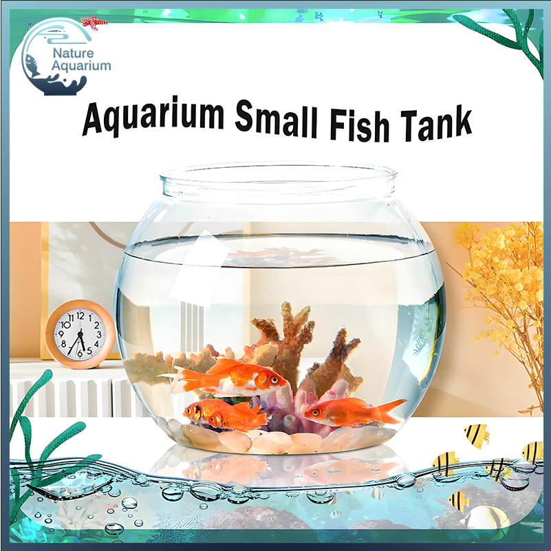 Fish Tank Plastic High Transparency Fish Tank Small Fish Tank ...