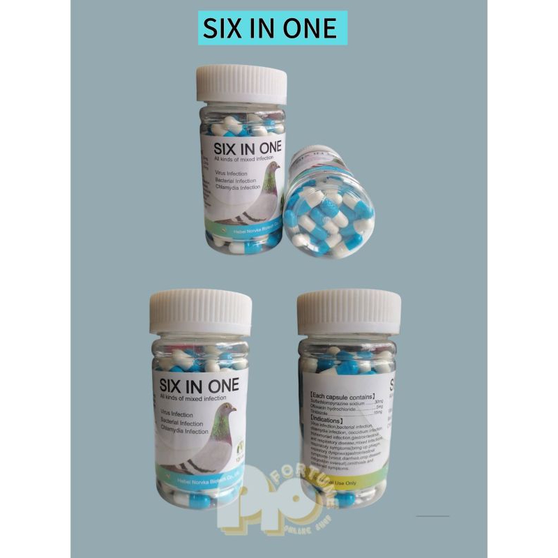 Six in One (Per Bottle) | Shopee Philippines