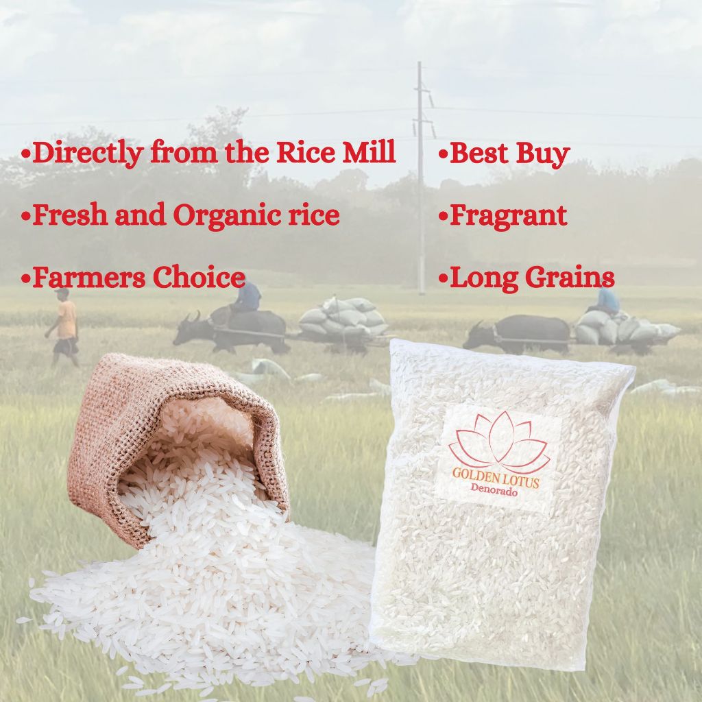LEGENDARY Premium Local White Rice 50kg Organic 90% Whole grains ...