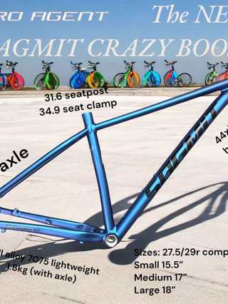 PRO AGENT X SAGMIT CRAZY BOOST/ BROOKLYN V3R (FRAME ONLY) 29R not ...
