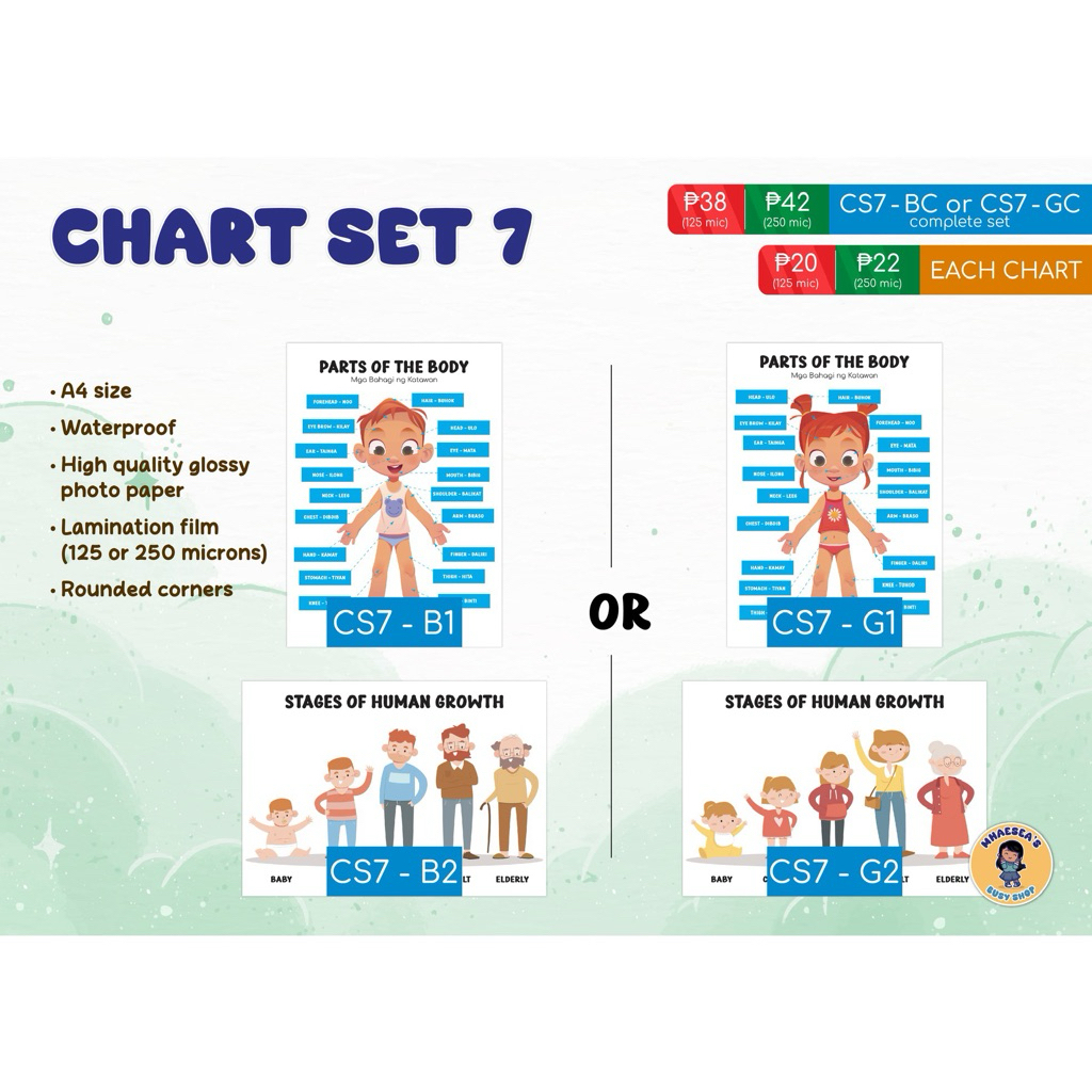 Laminated Educational Chart Set 7 - Parts of The Body, Stages of Human ...