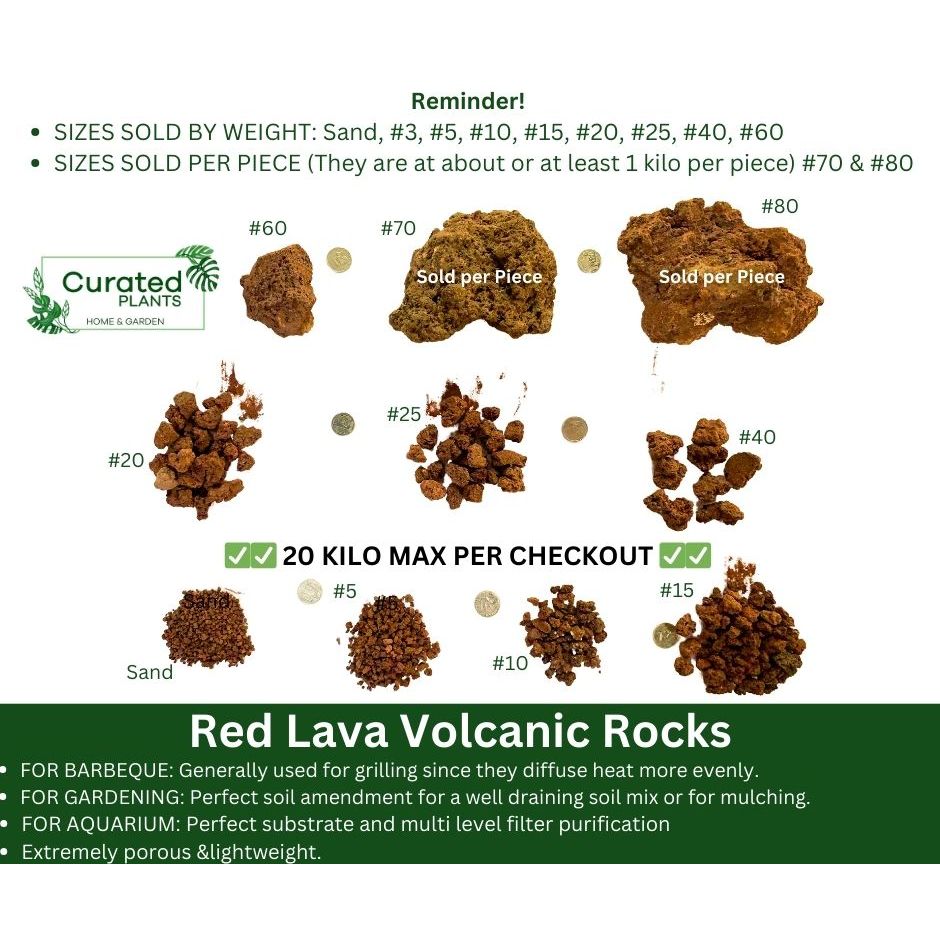 5 Kilo Bag: Red Lava Rocks / Red Lava Sand by Curated Plants | Shopee ...