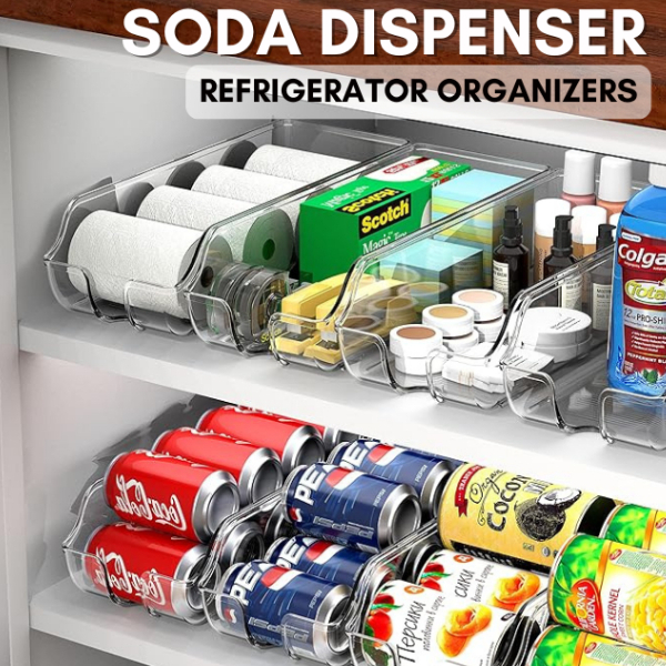 Christmas Gift Idea Transparent Refrigerator Soda Box,Fruit and Veggies ...