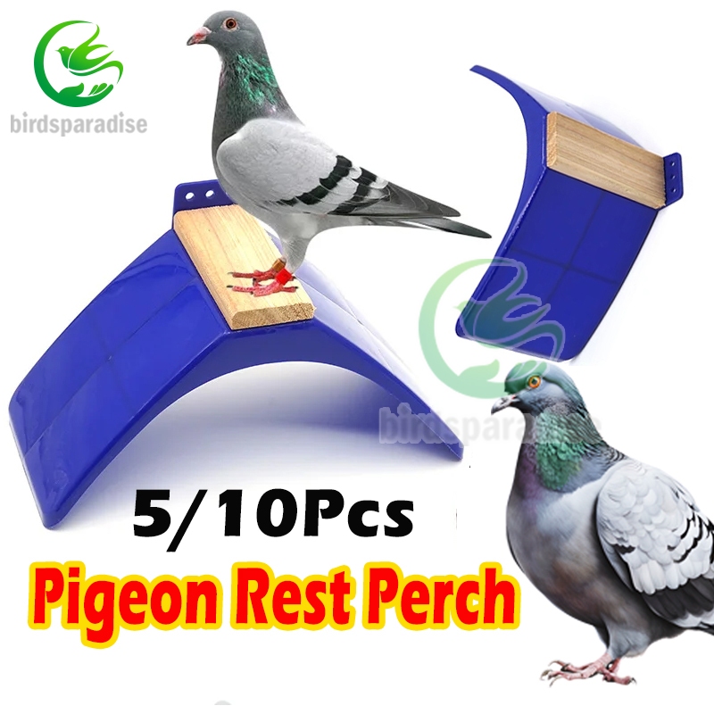 Pigeon Rest Stand Plastic Dove Heat Resisting Perches Bird Dwelling ...