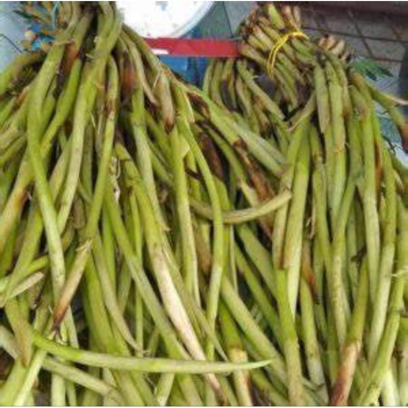 Shop batwan for Sale on Shopee Philippines