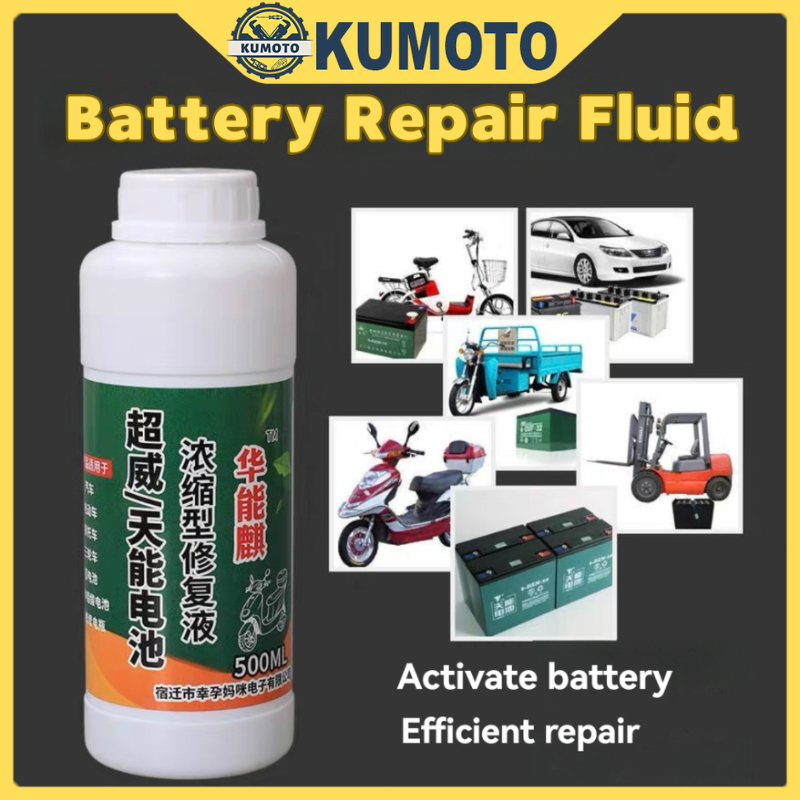 Battery Repair Solution with Repair Tools Efficient Pulse Repair ...