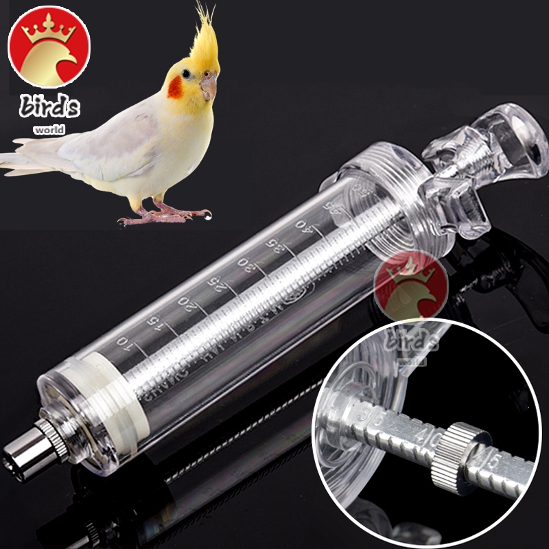 Bird Feeding Syringe Fiber Glass Syringe Heavy Duty Syringe Plastic ...