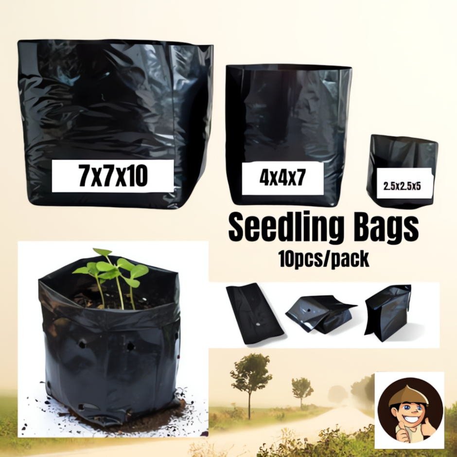 Shop seedling bag for Sale on Shopee Philippines