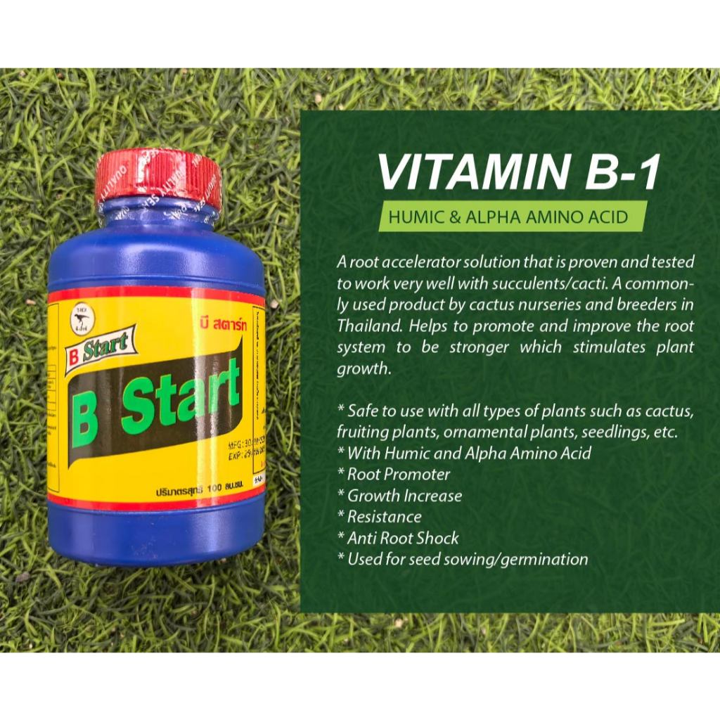 Vitamin B1 (100ml ) Humic and Alpha Amino Acid for rooting | Shopee ...