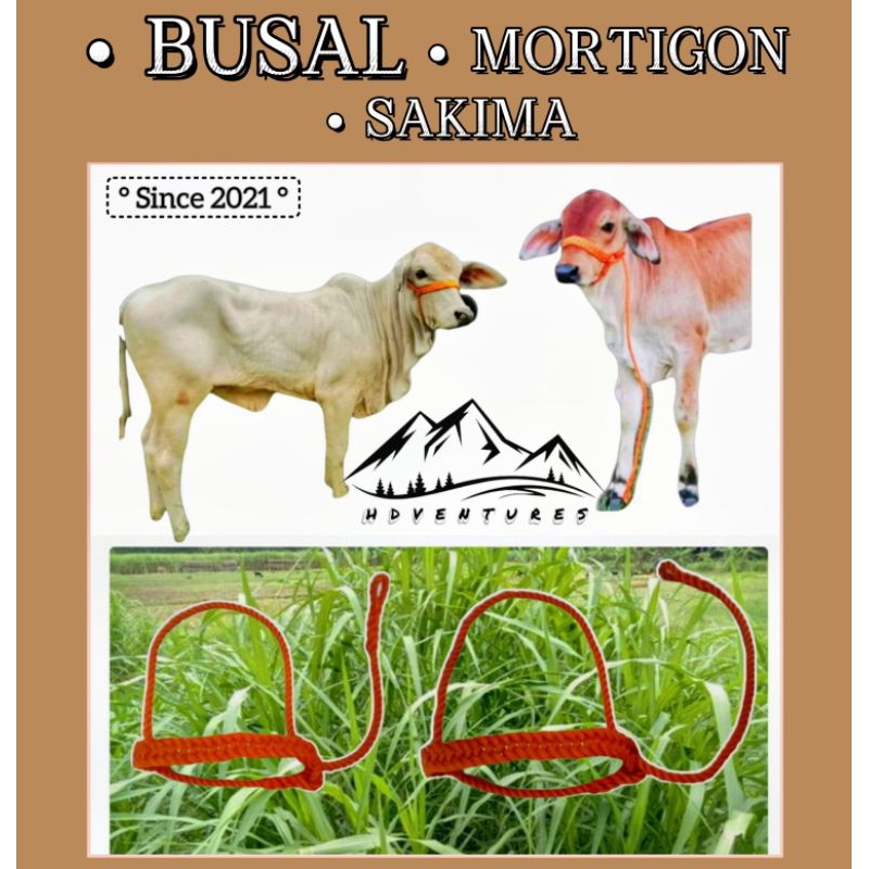 BUSAL / MORTIGON / SAKIMA / HALTER para sa BAKA KALABAW at KABAYO ...