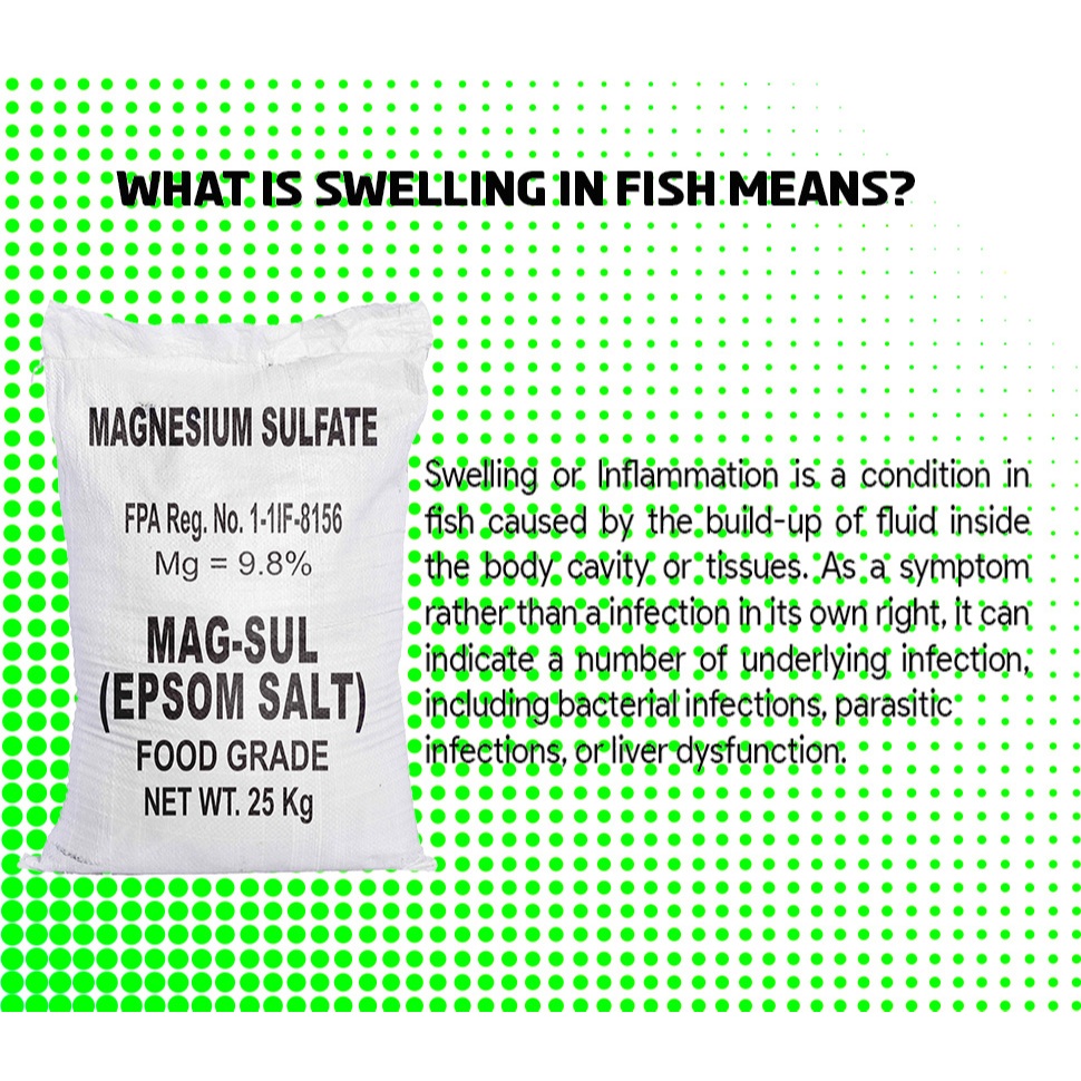 MAGNESIUM SULFATE (EPSOM SALT) FOR FISH TANK (POND) | Shopee Philippines