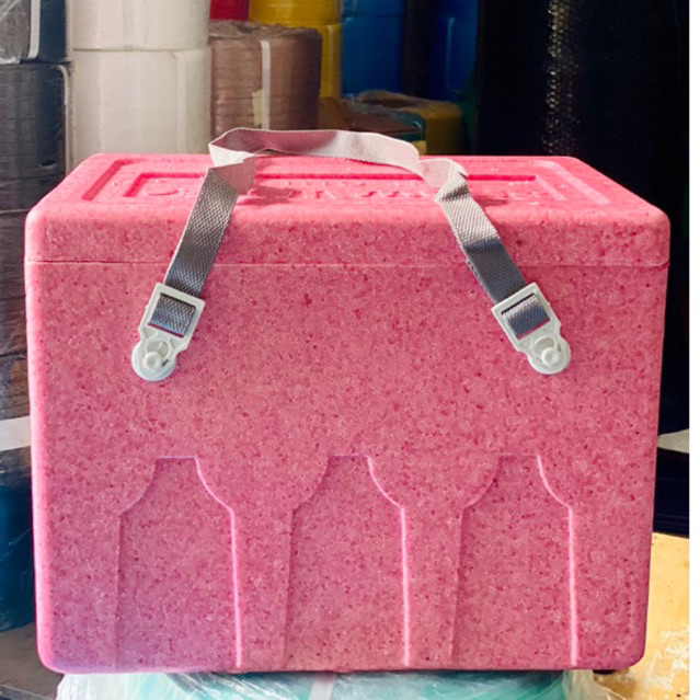 Styro Box / Ice Chest / 17 “ x 12” x 13 / Red / Box 105 | Shopee ...