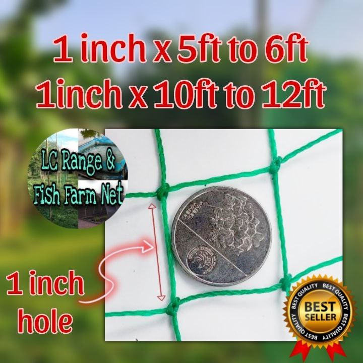 1 INCH HOLE CHICKEN NET/FARM NET/RANGE NET SINGLE SIZE AND DOUBLE SIZE ...
