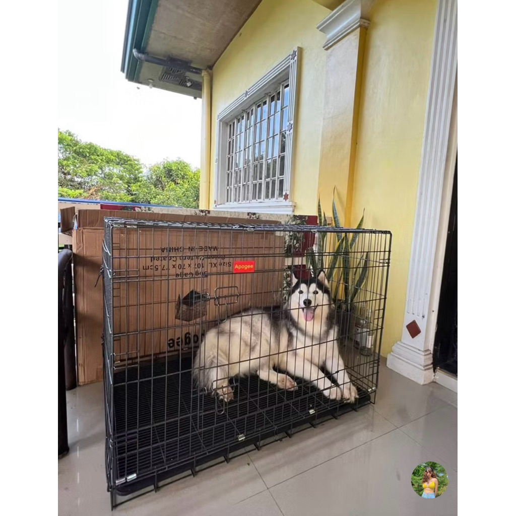 View of DOG CAGE FOR LARGE BREED SIZE5 PET CRATES GIANT1 ON HAND High quality ...