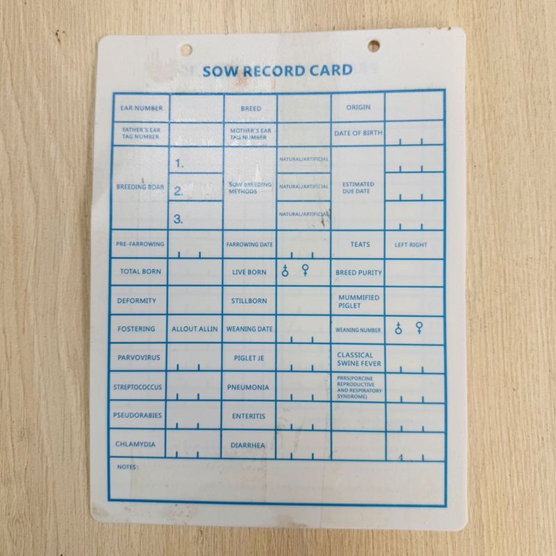 Reusable Sow Record Card PVC Piggery Record Keeping for Pig animals ...