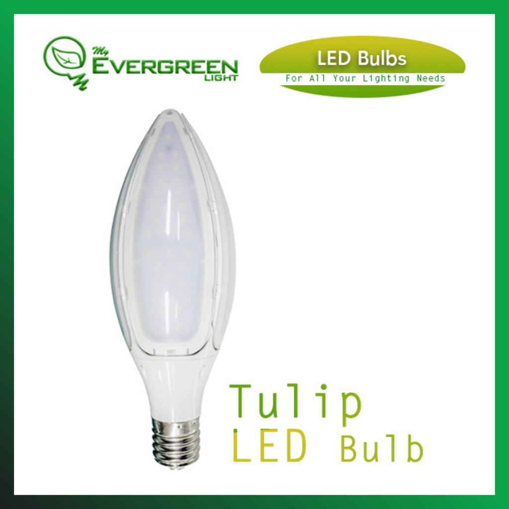 My Evergreen Light Led Bulb 50W Tulip E40 Socket Daylight for High ...