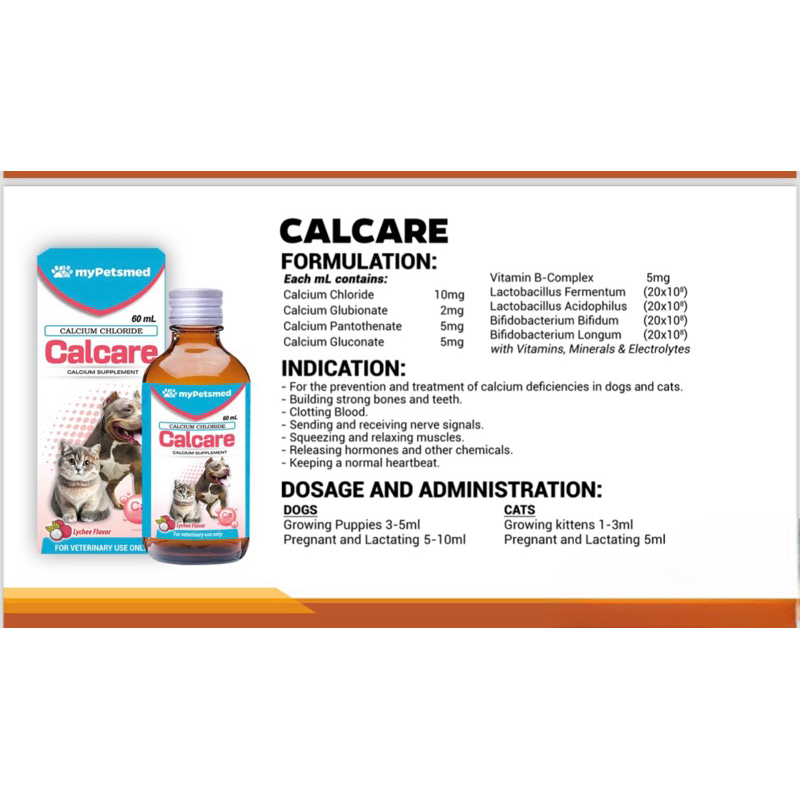 Calcare Syrup 60ml | Shopee Philippines
