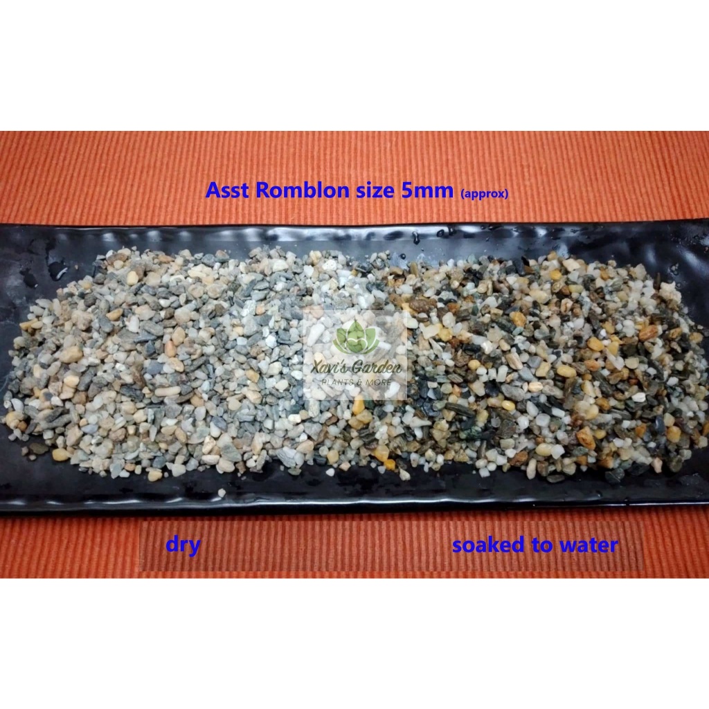 Shop flooring pebbles for Sale on Shopee Philippines