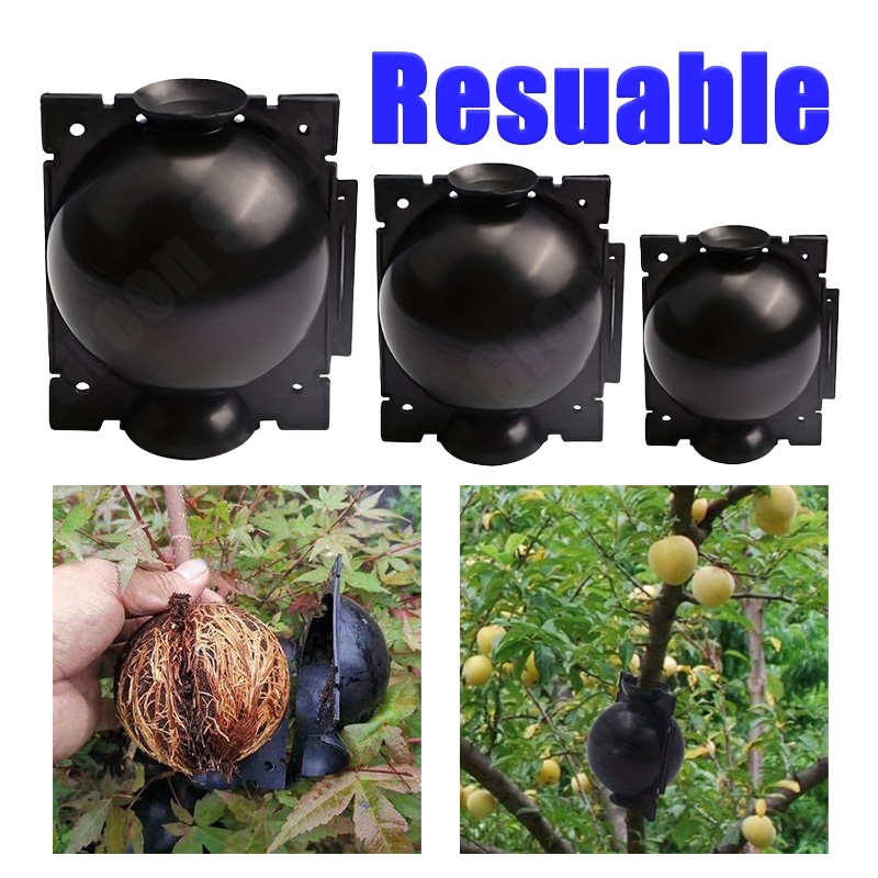 Plant Rooting Device Plant Grafted High Pressure Box Premium Resuable ...