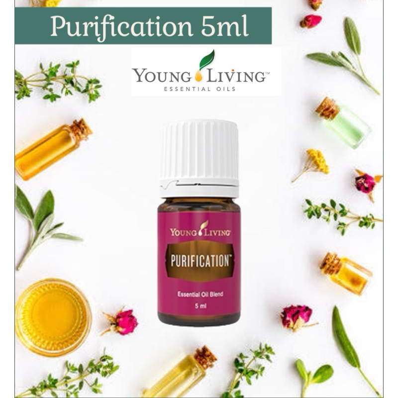 YOUNG LIVING Purification 5ml | Shopee Philippines