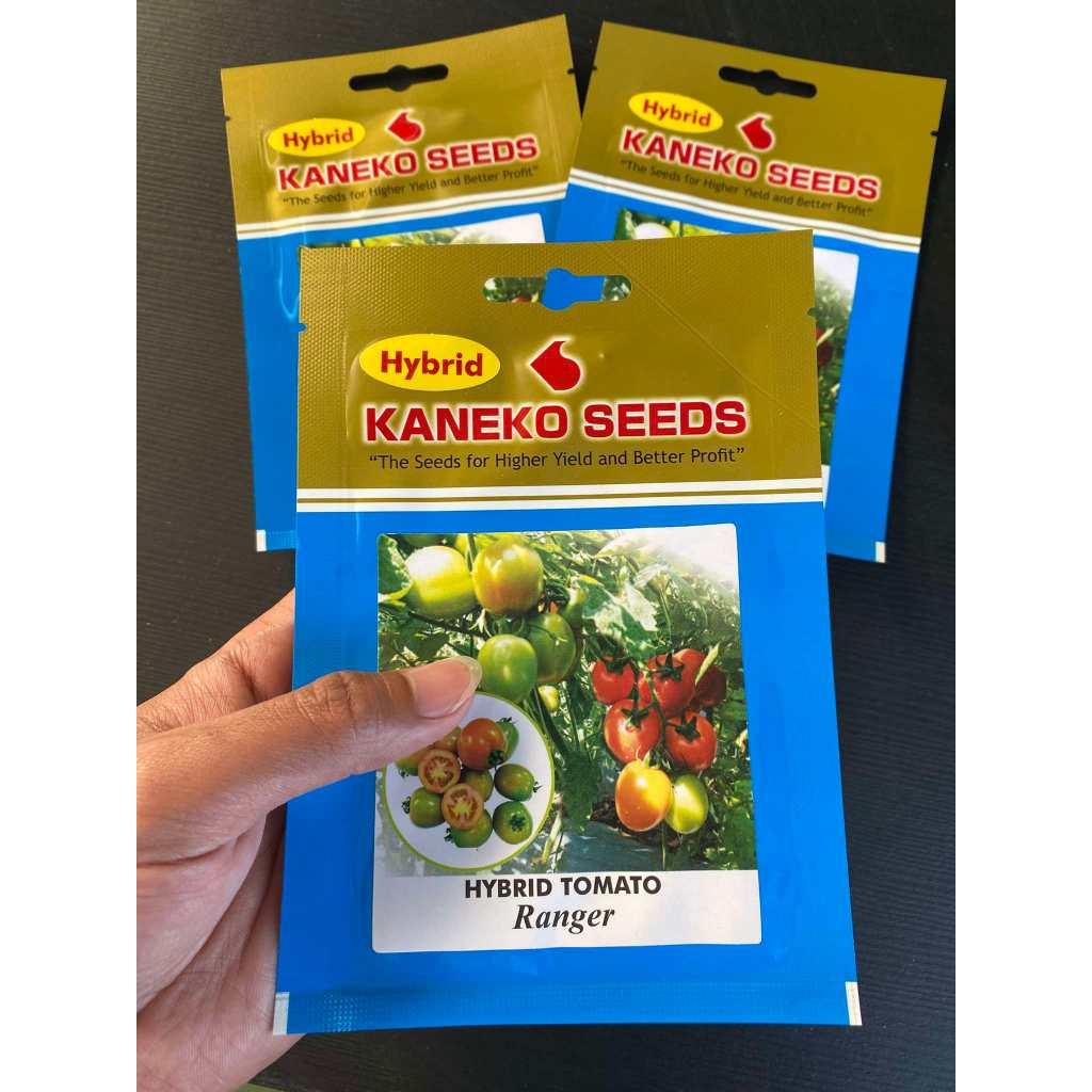 Kaneko Seeds- Hybrid Tomato (Ranger) | Shopee Philippines