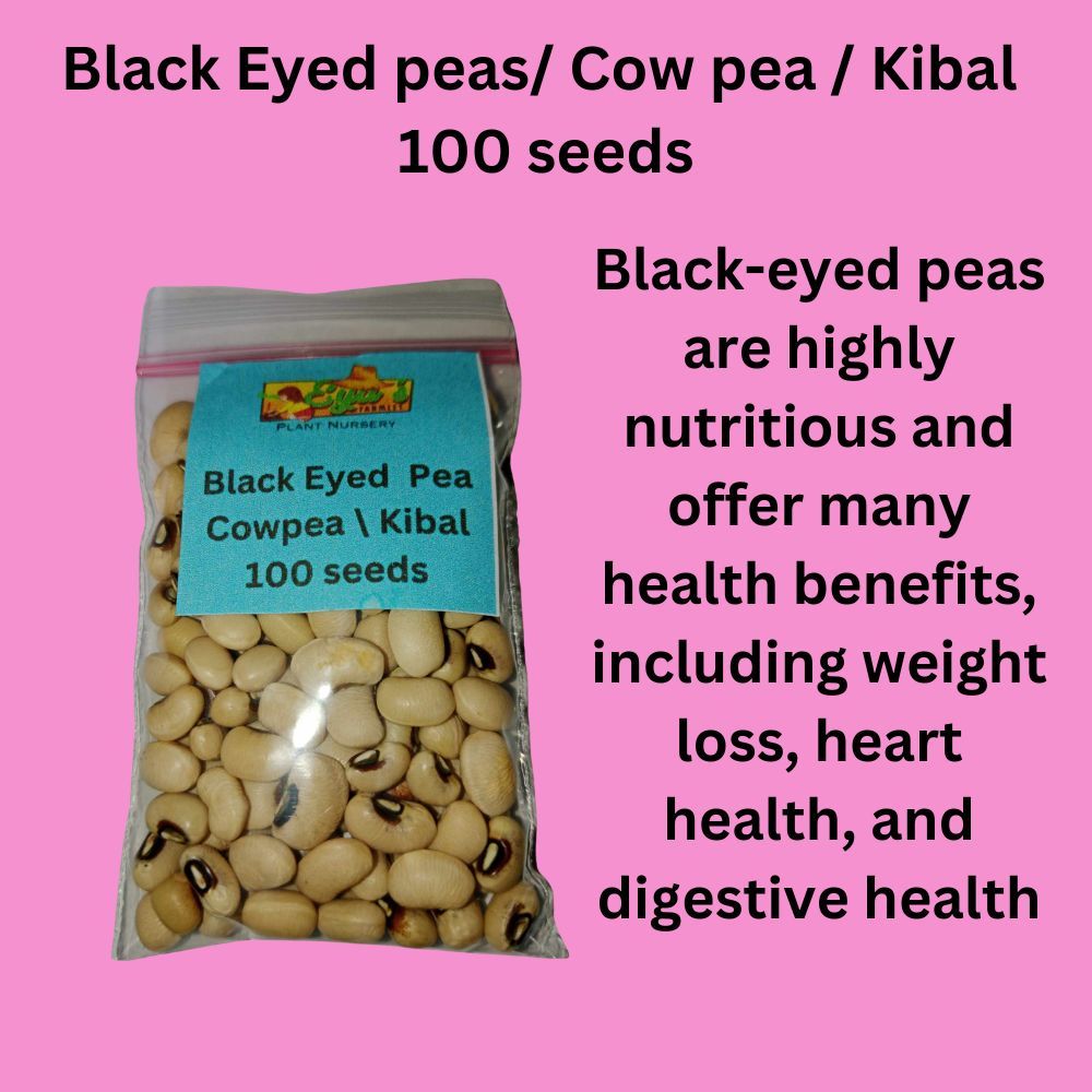 Black Eyed Pea 100 seeds/ Cow pea / Kibal /Sitaw na Turo/ Paayap ...