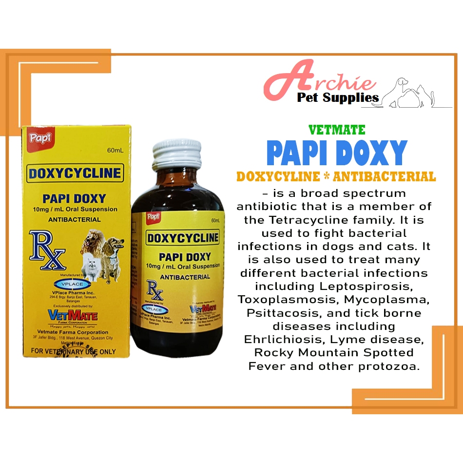 PAPI Doxy Antibacterial (Oral Suspension) 60mL | Shopee Philippines