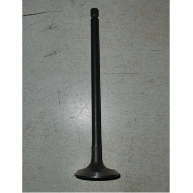 brand new engine valve F5B exhaust for suzuki multicab | Shopee Philippines