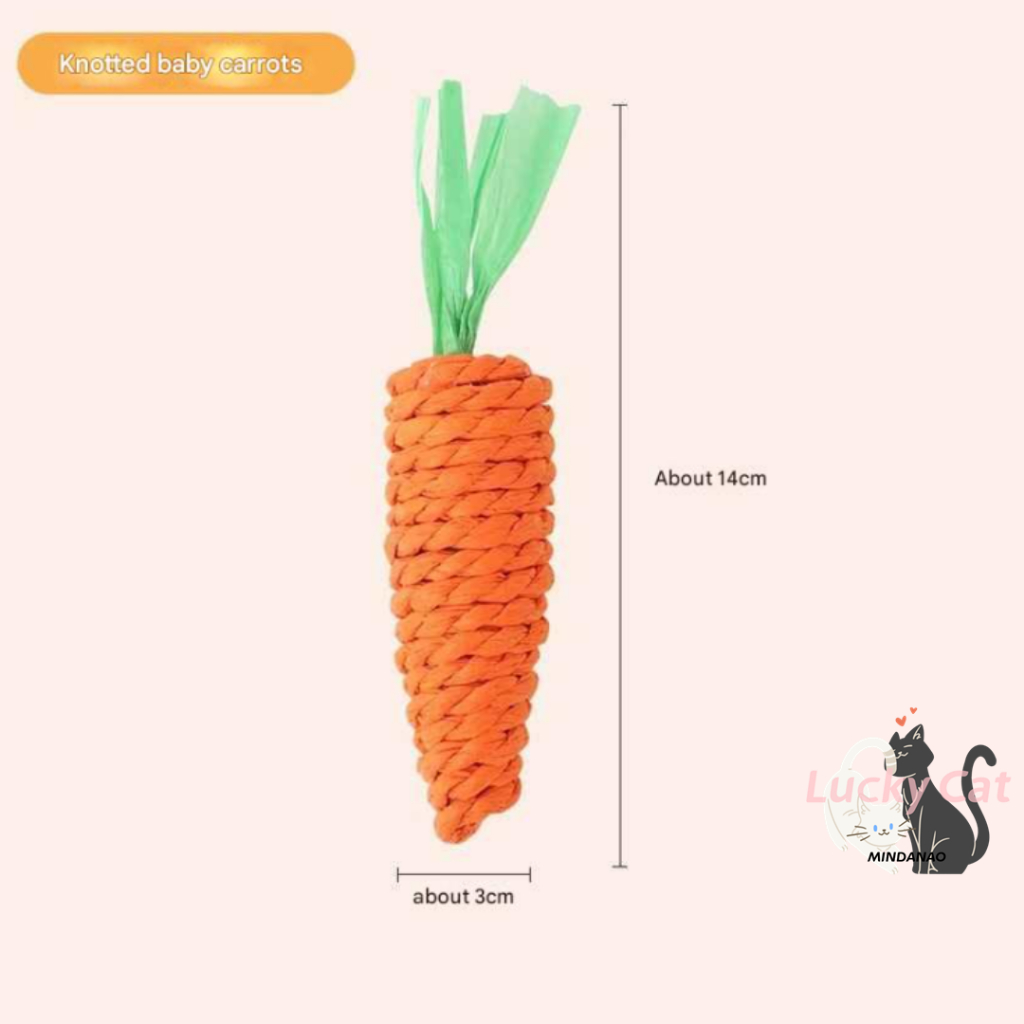 Hemp Rope Carrot Funny Cat Toy (DAVAO) | Shopee Philippines