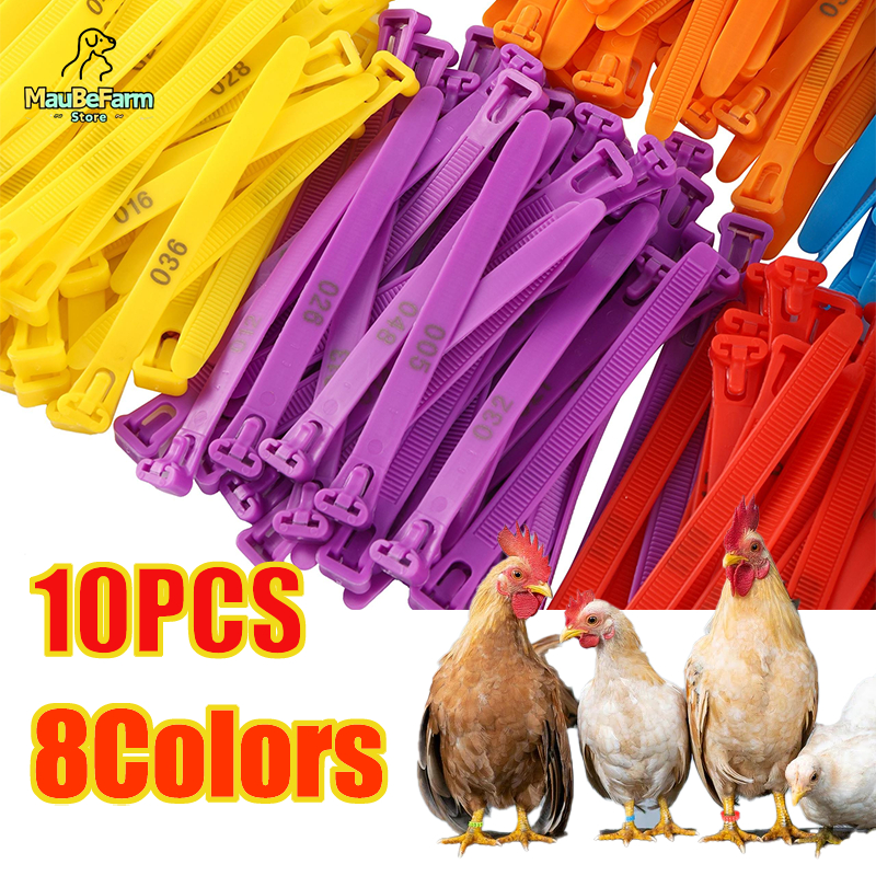 10PCS Plastic Chicken Foot Ring 8~28mm Adjustable Anti-shedding Goose ...