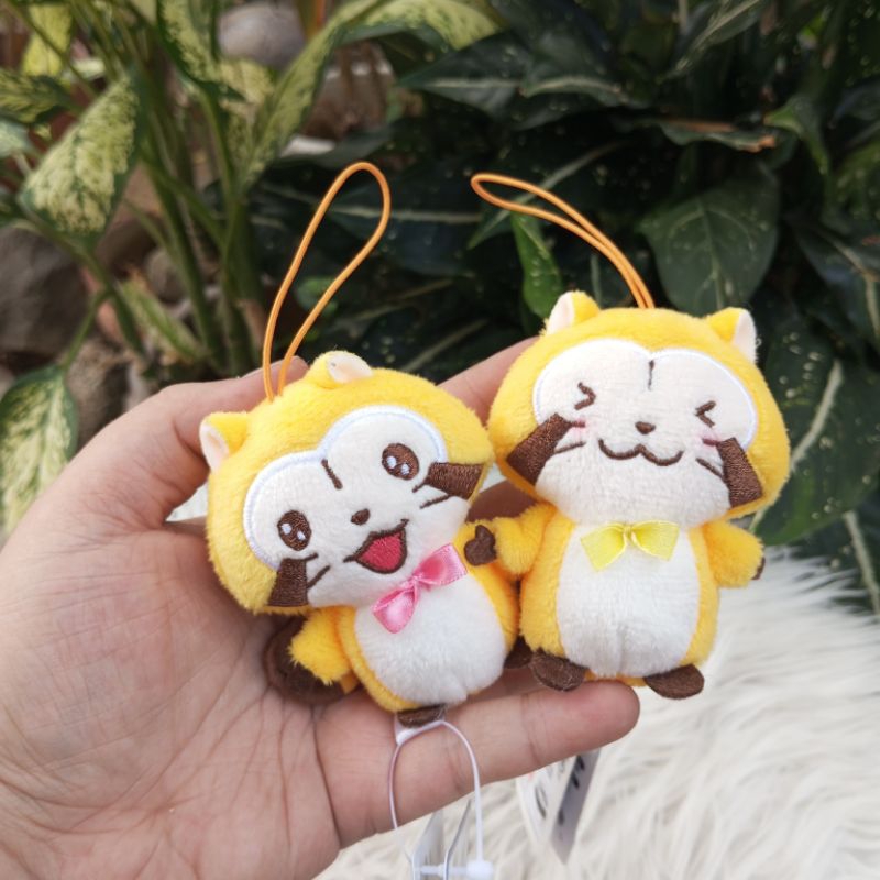 RASCAL The Raccoon Japanese Plush Toy SET | Shopee Philippines