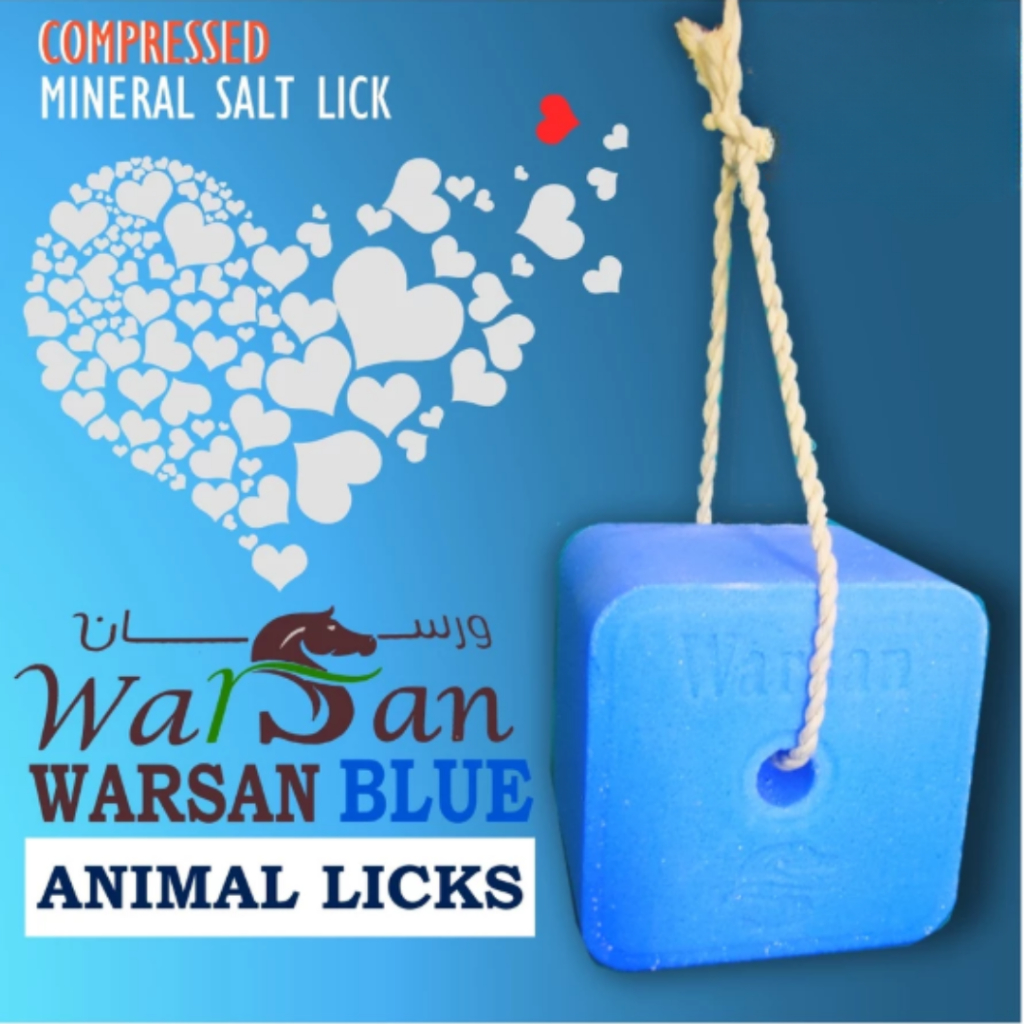 4.5kg Authentic Warsan Blue Mineral Block Salt Lick | Shopee Philippines