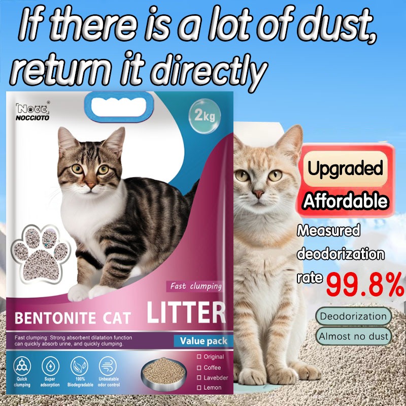 10KG Bentonite Cat Litter Odor Control Fast clumping Highly Absorbent ... - Higher Absorbent Clumping Litter For Odor Control
