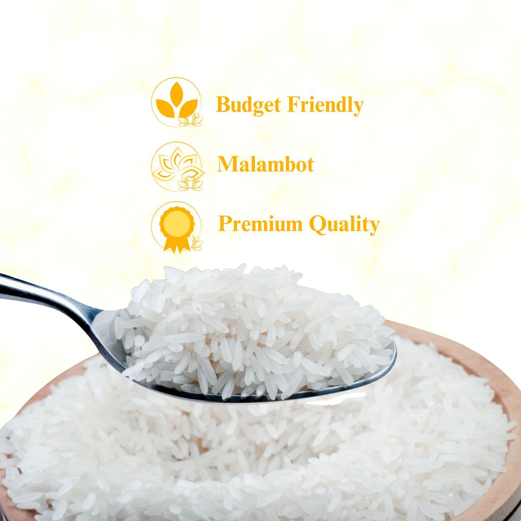 FRESH HARVEST Premium Local White Rice 50kg Organic 80% Whole grains ...