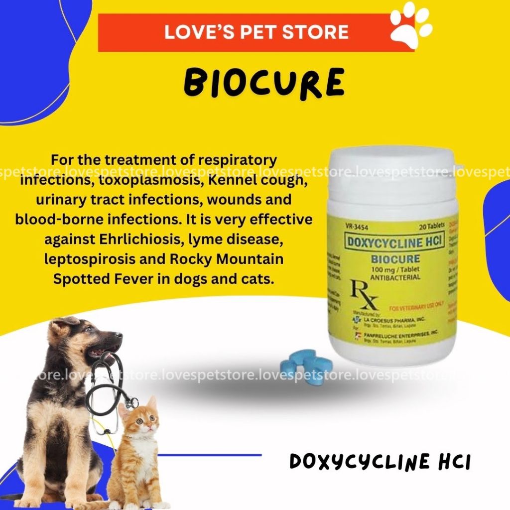 Biocure Doxy For Dog And Cats (20 Tablets ) | Shopee Philippines