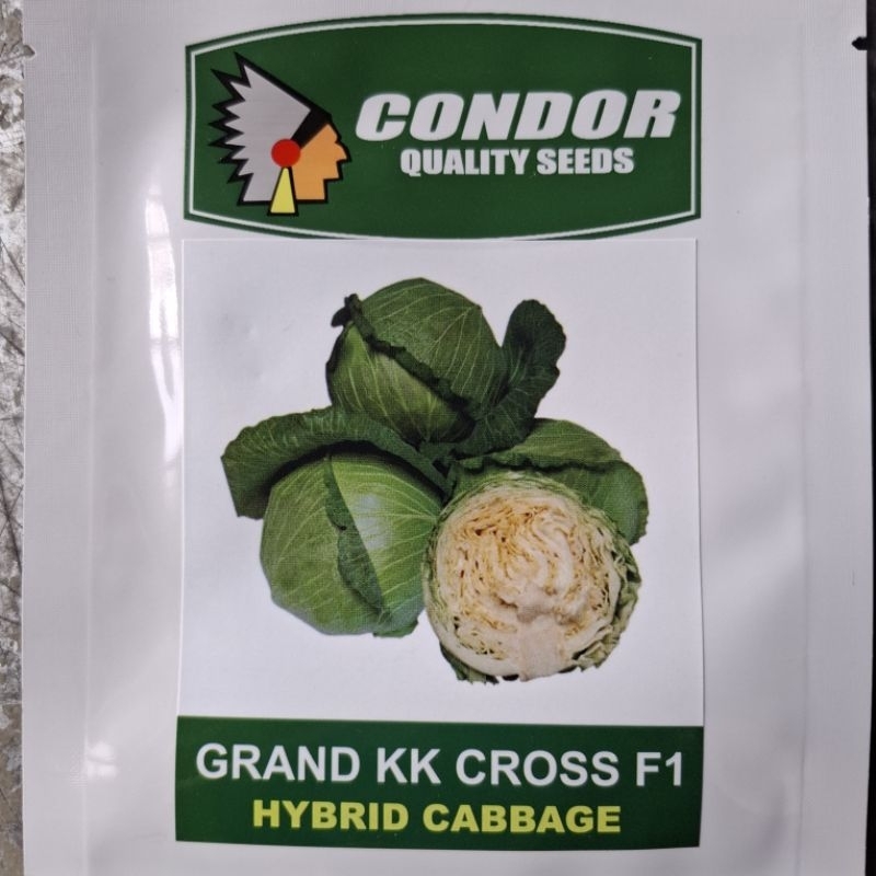 GRAND KK CROSS F1 HYBRID CABBAGE SEEDS (1 GRAM) by CONDOR | Shopee ...