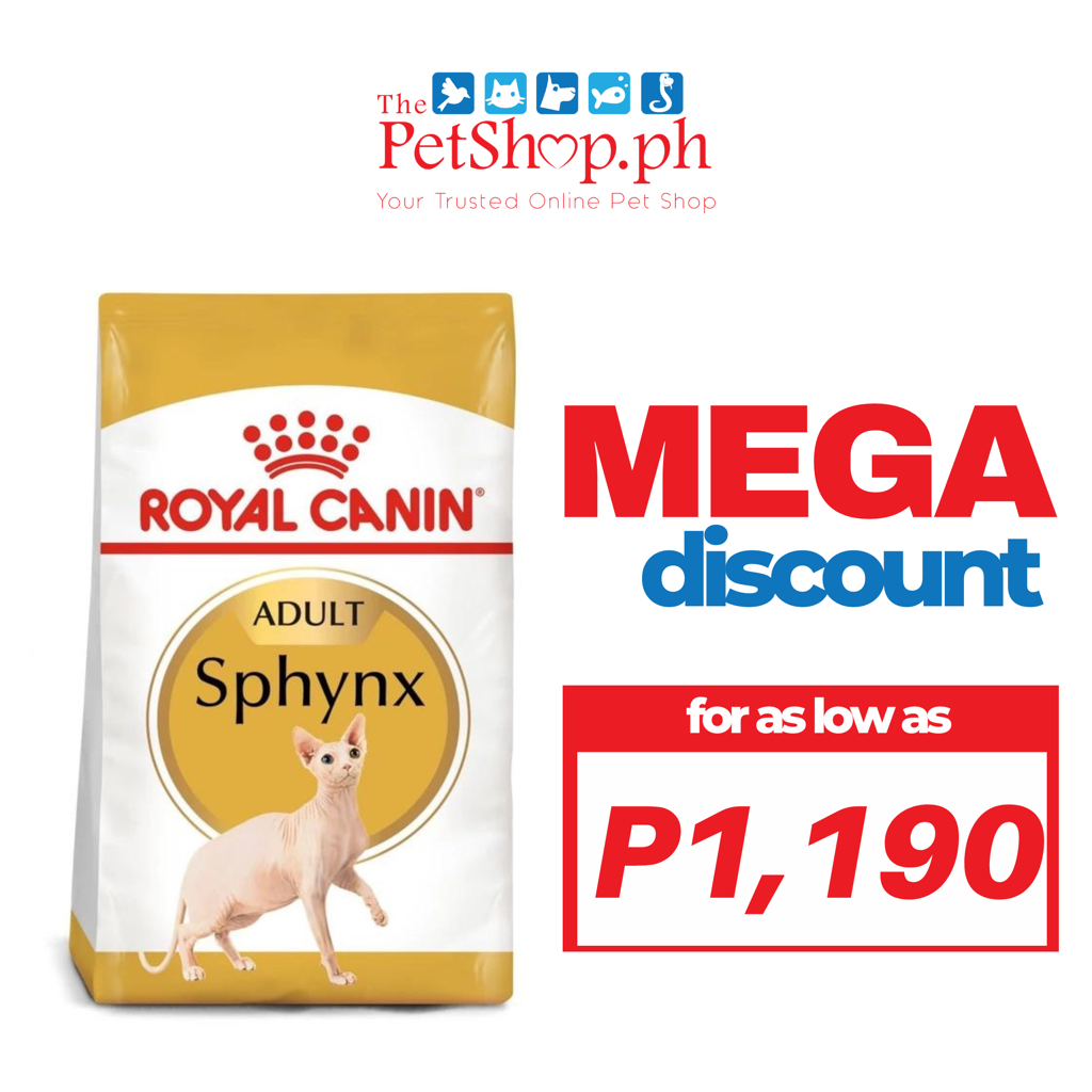 Best kitten food verarbeitete for sphynx
