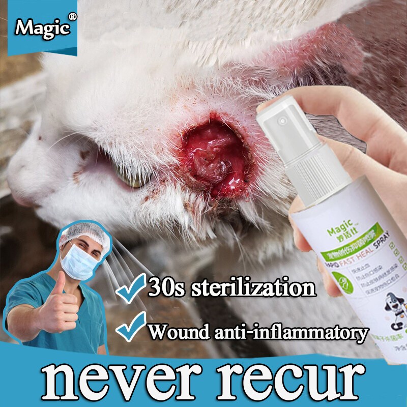 Sterilize and relieve itching Ubat kutu kucing Dog itchy skin medicine