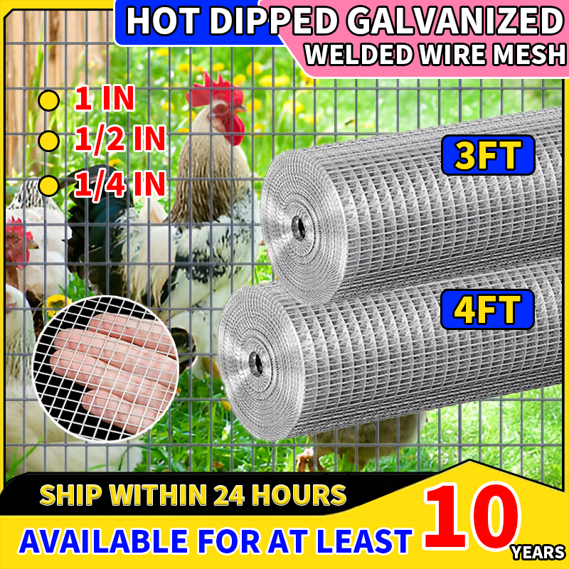 HotDipped Galvanized Wire Mesh Welded Square Hole Mesh for Chicken