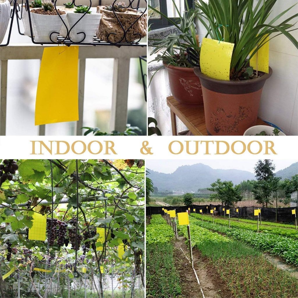 50PCS Strong Flies Traps Bugs Sticky Board Yellow Double-Sided Sticky ...