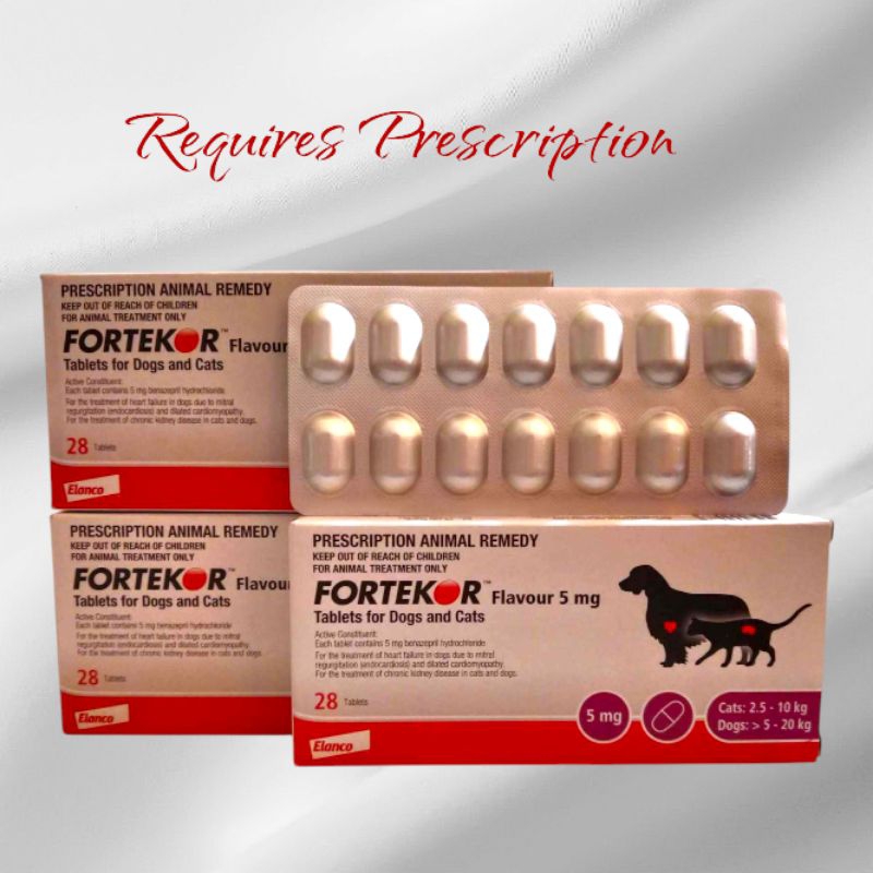 Fortekor 5mg for Dogs and Cats (Sold per tablet) | Shopee Philippines